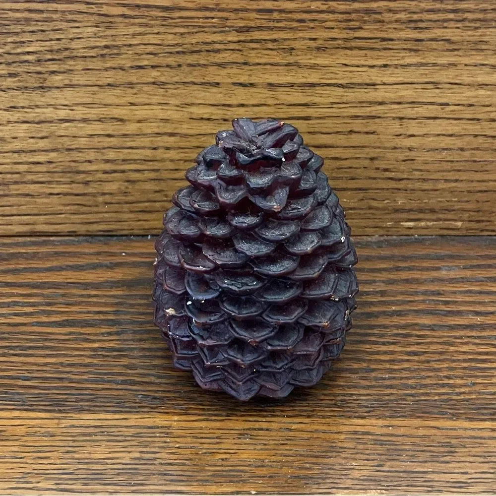 New Smith & Hawken Pine Cone Candle